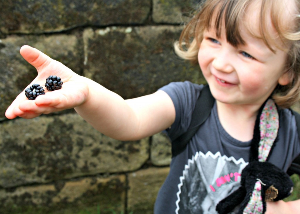 elsie hand blackberries